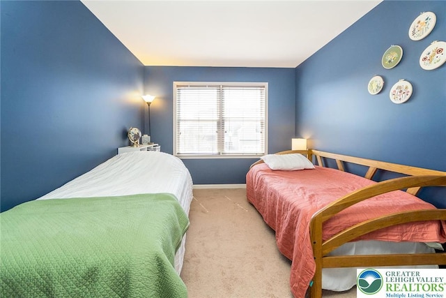 21 Millbrook Ct, Palmer Twp, PA 18045 - carpeted bedroom with baseboards