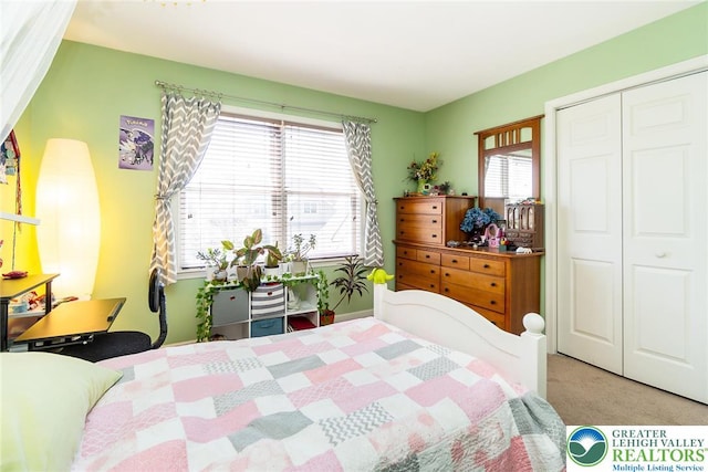 21 Millbrook Ct, Palmer Twp, PA 18045 - bedroom featuring a closet and carpet flooring