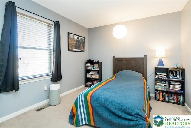 21 Millbrook Ct, Palmer Twp, PA 18045 - bedroom with carpet and baseboards