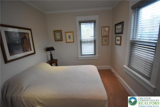 407 W Burke St, Easton, PA 18042 - bedroom featuring carpet floors and crown molding