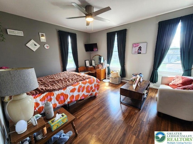 14 W 10th St, Jim Thorpe Borough, PA 18229 - bedroom with multiple windows, wood finished floors, and a ceiling fan