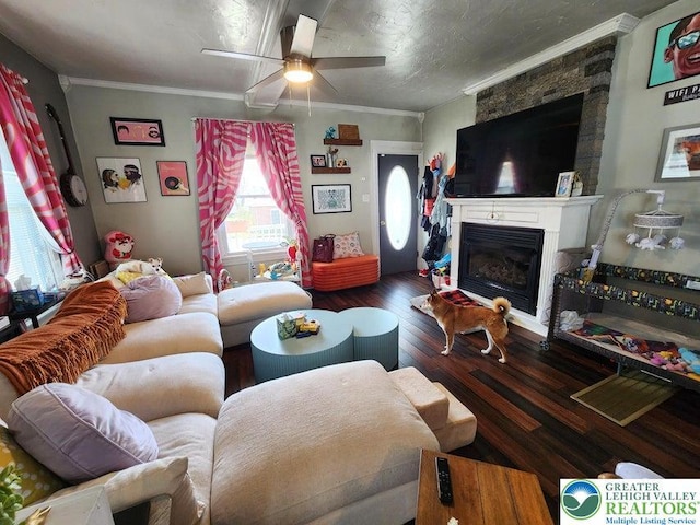 14 W 10th St, Jim Thorpe Borough, PA 18229 - living area with a ceiling fan, wood finished floors, crown molding, and a glass covered fireplace