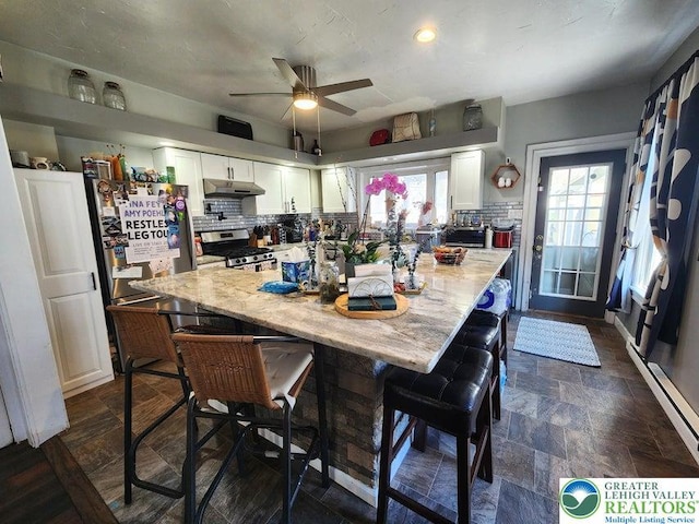 14 W 10th St, Jim Thorpe Borough, PA 18229 - kitchen with under cabinet range hood, stainless steel appliances, white cabinetry, and decorative backsplash