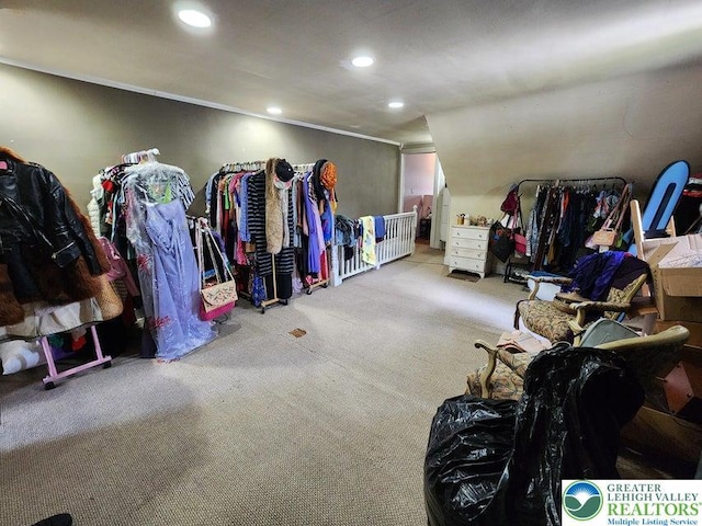 14 W 10th St, Jim Thorpe Borough, PA 18229 - spacious closet featuring carpet flooring