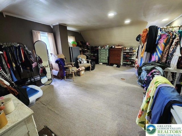 14 W 10th St, Jim Thorpe Borough, PA 18229 - interior space featuring carpet, vaulted ceiling, and recessed lighting