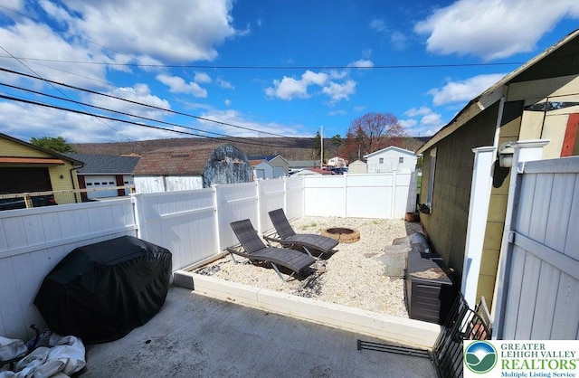 14 W 10th St, Jim Thorpe Borough, PA 18229 - fenced backyard featuring grilling area