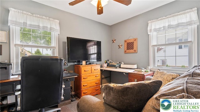 3063 Clearview St, Palmer Twp, PA 18045 - home office with a ceiling fan