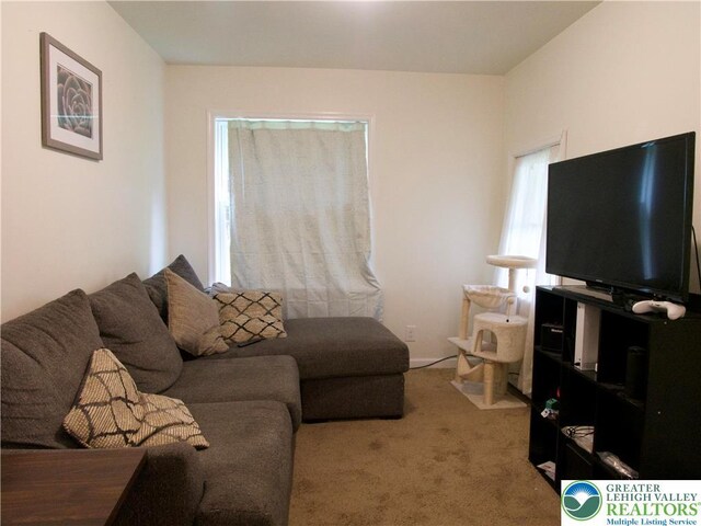 86 Garibaldi Ave, Roseto Boro, PA 18013 - photo 10