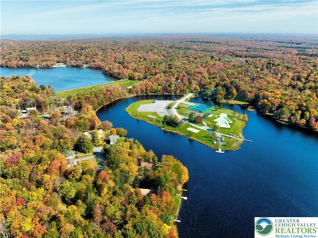 119 Tenicum Trl, Coolbaugh Twp, PA 18347 - drone / aerial view of a forest and a nearby body of water