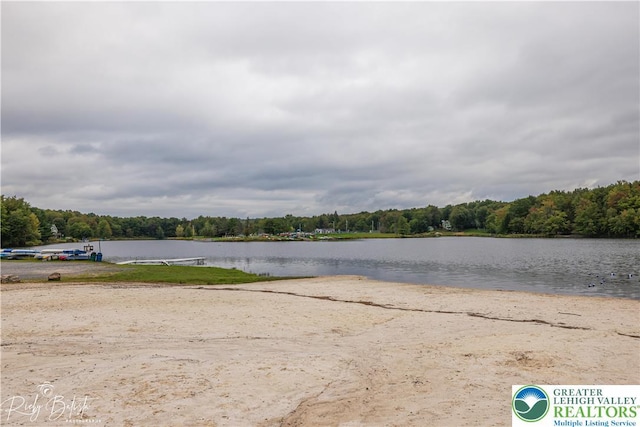 119 Tenicum Trl, Coolbaugh Twp, PA 18347 - water view featuring a heavily wooded area