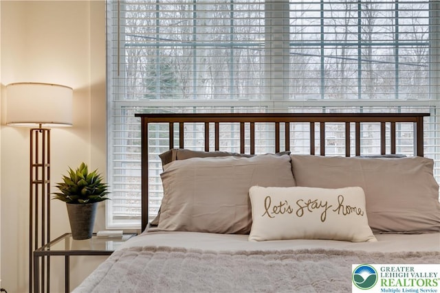 119 Tenicum Trl, Coolbaugh Twp, PA 18347 - view of bedroom