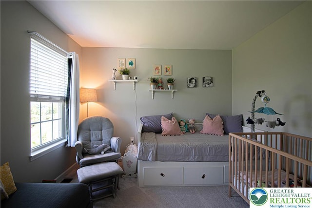 5959 Valley Forge Rd, Upper Saucon Twp, PA 18036 - view of carpeted bedroom