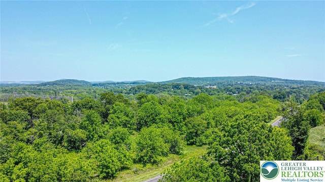 5959 Valley Forge Rd, Upper Saucon Twp, PA 18036 - view of mountain background featuring a heavily wooded area