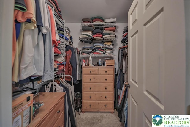 106 Fernwood Dr, Forks Twp, PA 18040 - spacious closet with carpet