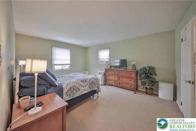 106 Fernwood Dr, Forks Twp, PA 18040 - view of carpeted bedroom