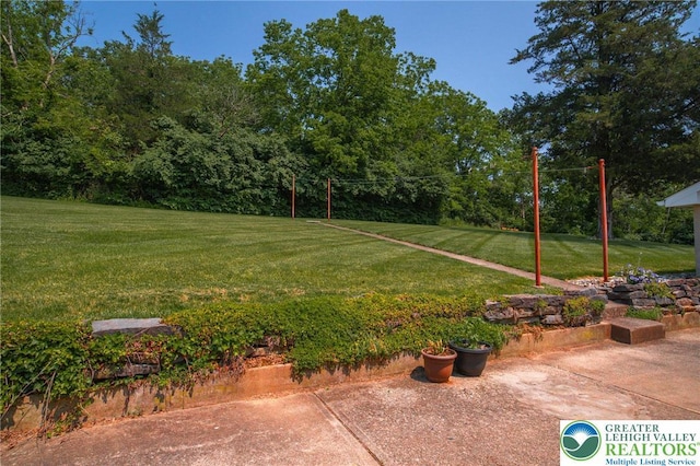 6790 Fairview Ave, Lower Mt Bethel Twp, PA 18013 - view of grassy yard