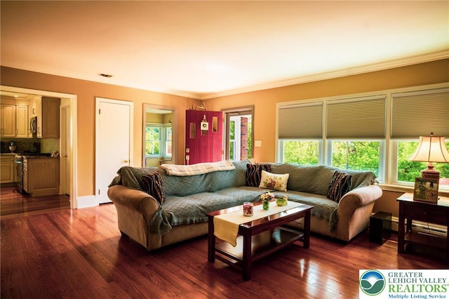 6790 Fairview Ave, Lower Mt Bethel Twp, PA 18013 - living room with healthy amount of natural light, dark wood finished floors, and crown molding