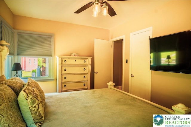 6790 Fairview Ave, Lower Mt Bethel Twp, PA 18013 - bedroom featuring ceiling fan and carpet floors