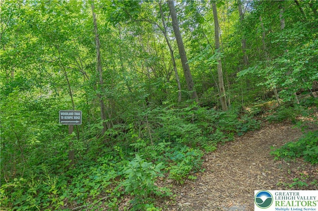 3213 Overlook Dr, Lower Macungie Twp, PA 18049 - view of tree filled area