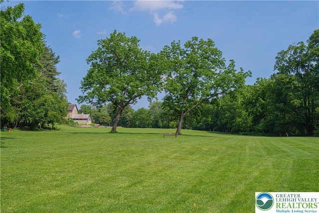 3213 Overlook Dr, Lower Macungie Twp, PA 18049 - view of green lawn