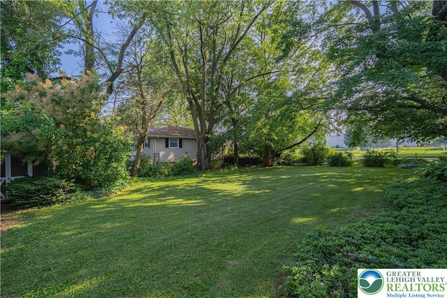 3344 Winchester Rd, Allentown City, PA 18104 - view of green lawn