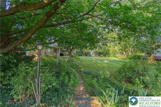 3344 Winchester Rd, Allentown City, PA 18104 - view of yard