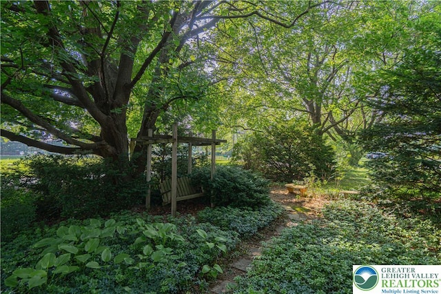 3344 Winchester Rd, Allentown City, PA 18104 - view of yard