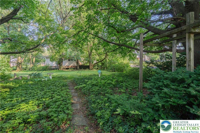 3344 Winchester Rd, Allentown City, PA 18104 - view of yard