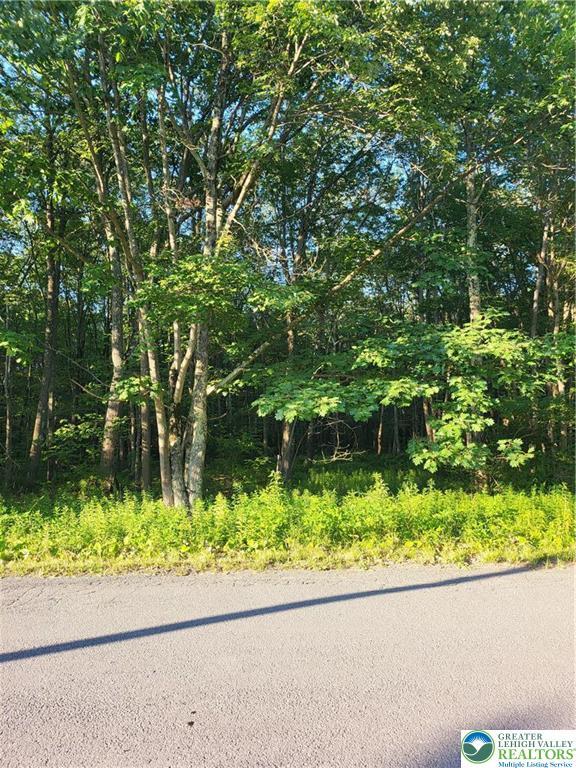 168 Cross St Unit 3, Tobyhanna Twp, PA 18347 - view of asphalt road