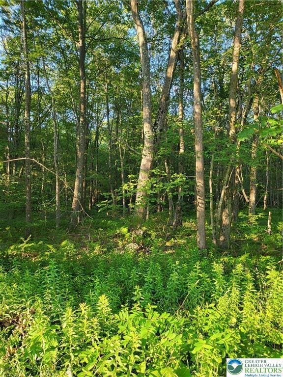 168 Cross St Unit 3, Tobyhanna Twp, PA 18347 - view of nature