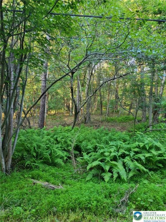 168 Cross St Unit 3, Tobyhanna Twp, PA 18347 - view of woods