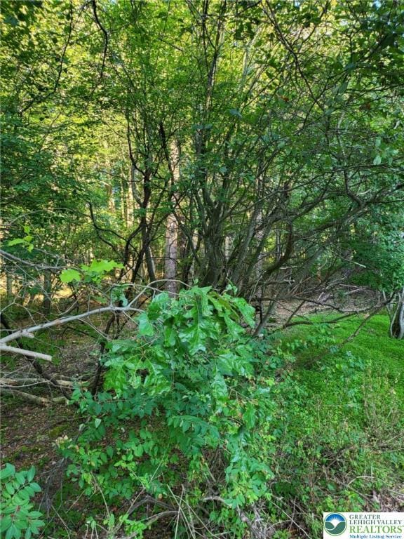 168 Cross St Unit 3, Tobyhanna Twp, PA 18347 - view of tree filled area