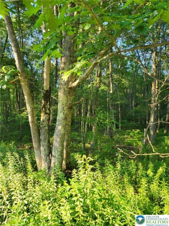 168 Cross St Unit 3, Tobyhanna Twp, PA 18347 - view of woods