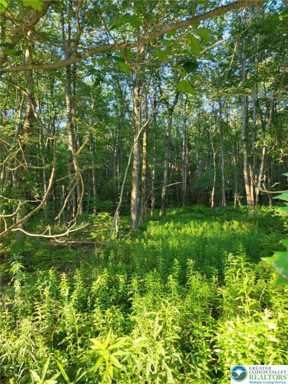 168 Cross St Unit 3, Tobyhanna Twp, PA 18347 - view of nature