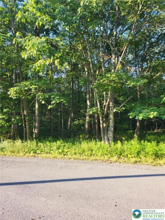 168 Cross St Unit 3, Tobyhanna Twp, PA 18347 - view of asphalt road