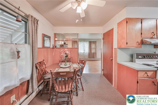 60 Maple Dr, Lower Towamensing Tp, PA 18071 - carpeted dining room with a ceiling fan and a baseboard heating unit