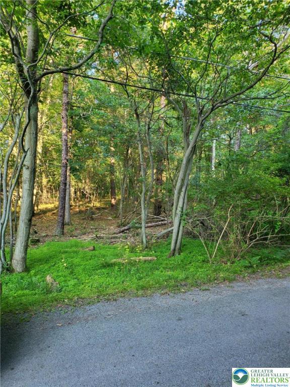 5120 Pine Tr Ln Unit 808, 809, Tobyhanna Twp, PA 18346 - view of road with a view of trees