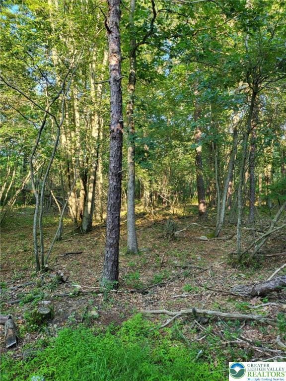 5120 Pine Tr Ln Unit 808, 809, Tobyhanna Twp, PA 18346 - view of undeveloped land