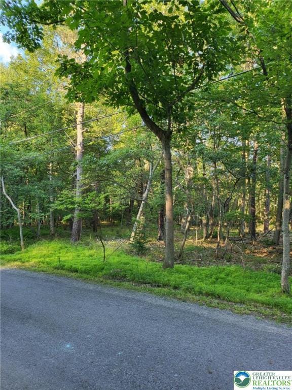 5120 Pine Tr Ln Unit 808, 809, Tobyhanna Twp, PA 18346 - view of asphalt street