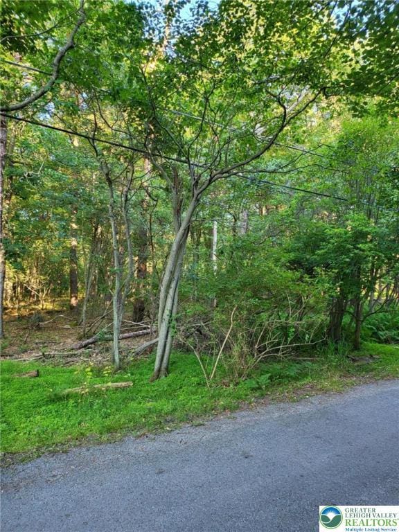 5120 Pine Tr Ln Unit 808, 809, Tobyhanna Twp, PA 18346 - view of woods