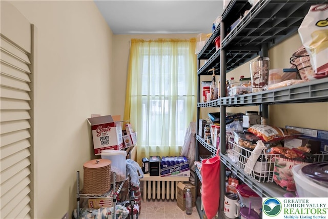 242 N Lehigh St, Tamaqua Boro, PA 18252 - view of storage