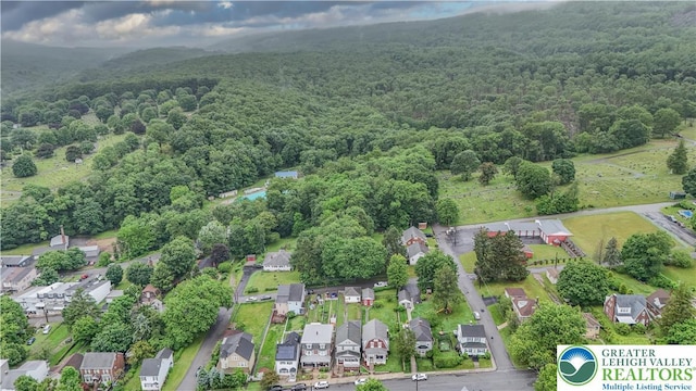 242 N Lehigh St, Tamaqua Boro, PA 18252 - aerial view of residential area featuring a forest