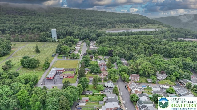 242 N Lehigh St, Tamaqua Boro, PA 18252 - bird's eye view of a heavily wooded area and a nearby body of water