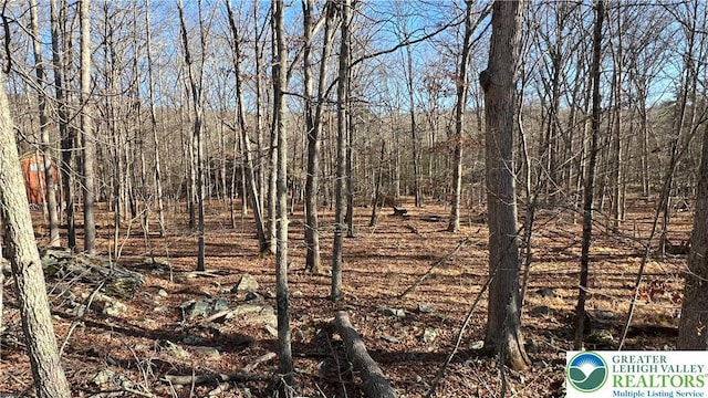 Saunders Ct, Lehman Twp, PA 18324 - view of nature