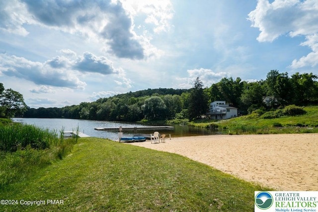 Saunders Ct, Lehman Twp, PA 18324 - dock with a water view and a view of trees