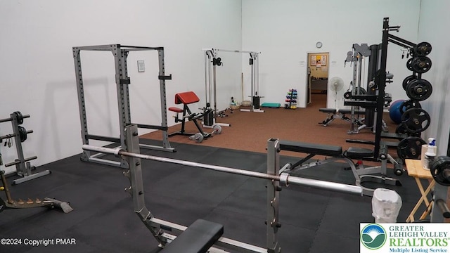 Saunders Ct, Lehman Twp, PA 18324 - view of workout area