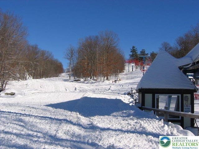 Saunders Ct, Lehman Twp, PA 18324 - view of yard covered in snow