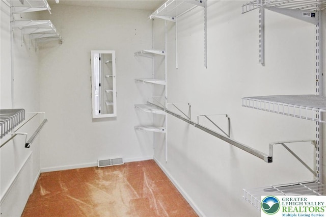 75 Marshall Run, Allen Twp, PA 18067 - walk in closet featuring carpet floors
