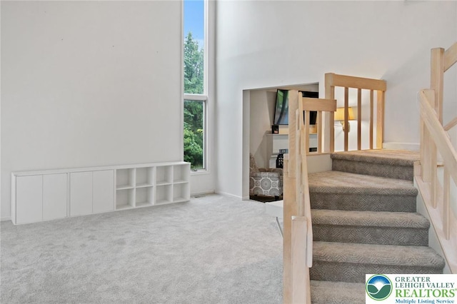 75 Marshall Run, Allen Twp, PA 18067 - stairway featuring carpet floors and a towering ceiling