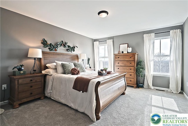 3220 Eisenhower Dr, Allen Twp, PA 18067 - bedroom with light carpet and baseboards